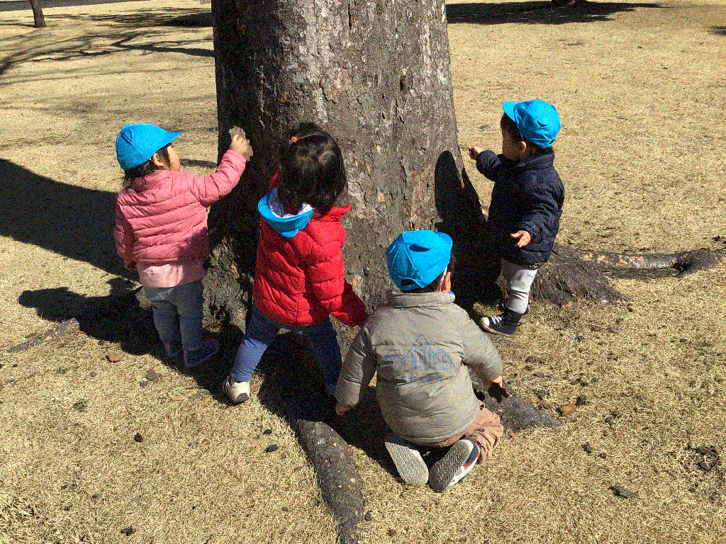 木の幹にカキカキ
