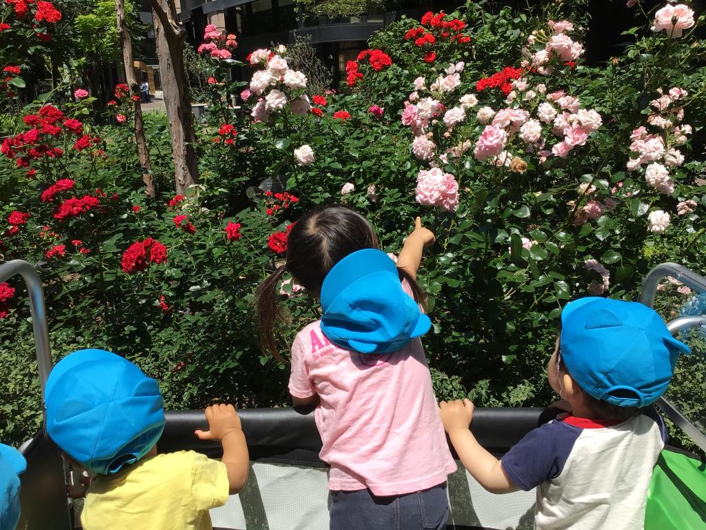 春バラにうっとり♪