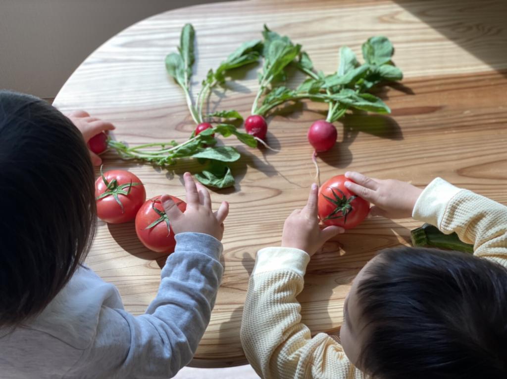 【認可外保育施設設置基準を満たす証明書の交付が決定致しました】