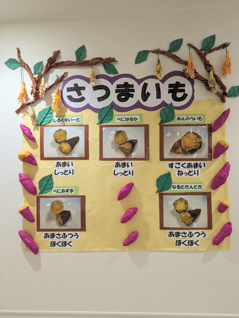 食育をしました!