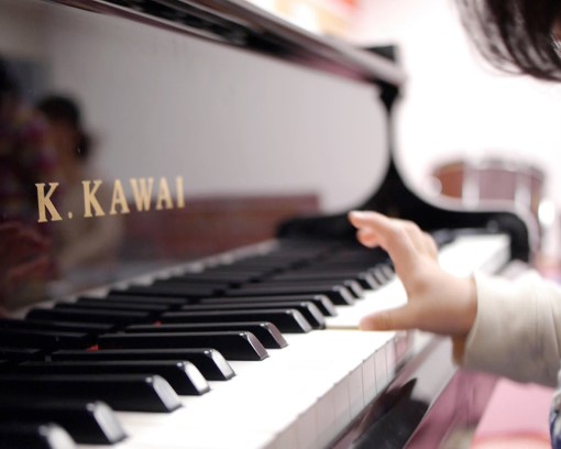 早期教育コース<情操教育プログラム>全22カリキュラム