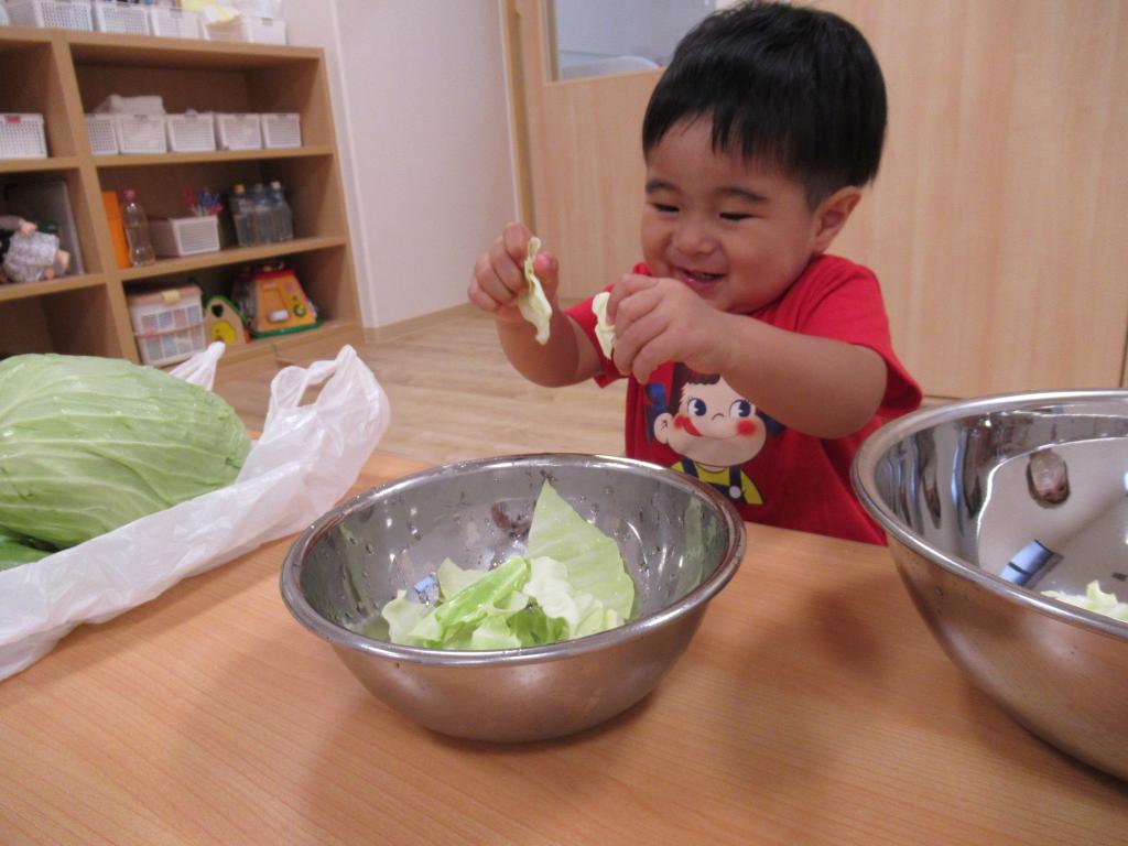 多彩なカリキュラム