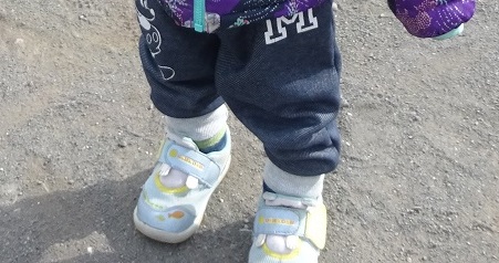 お散歩の様子をご紹介!