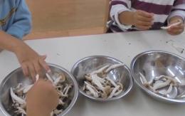 五感で満喫する秋